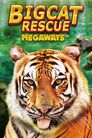 Big Cat Rescue Megaways
